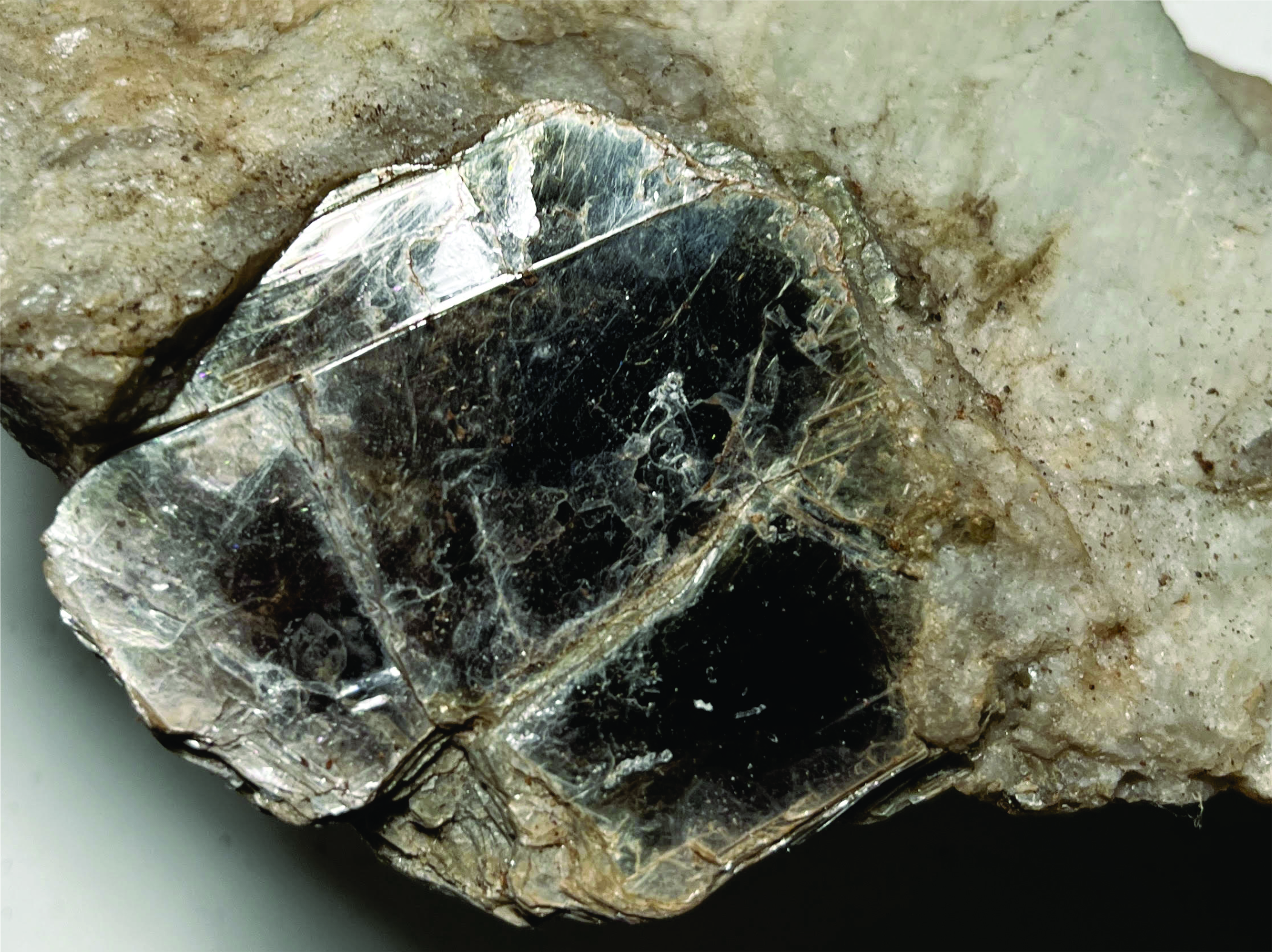 Muscovite