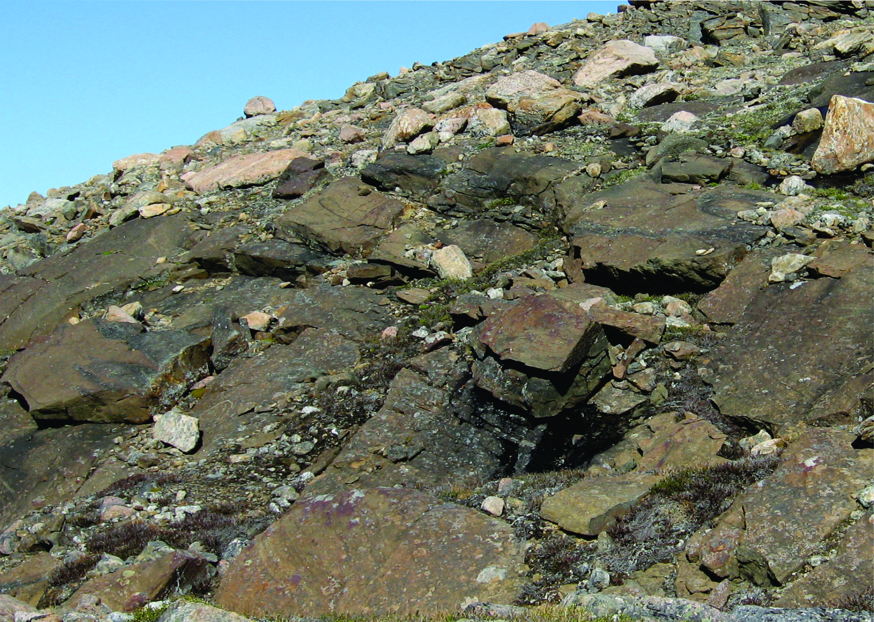 Ultramafic Intrusion