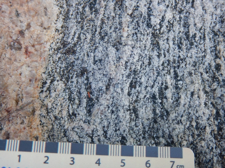 Granodiorite
